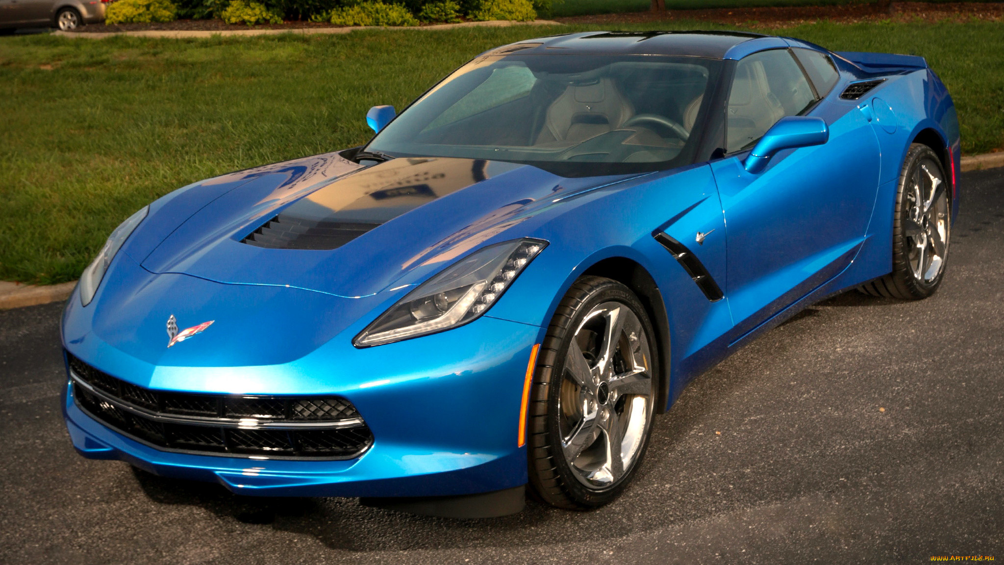 corvette, , , gm, chevrolet, division